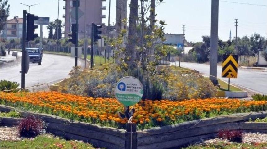 Demre 50 Bin &Ccedil;i&ccedil;ekle Rengarenk Oldu