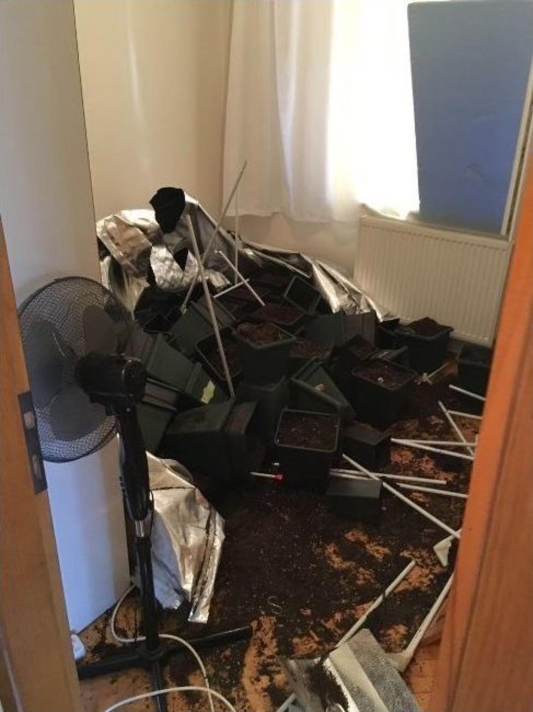 Sarıyer&rsquo;de L&uuml;ks Daireyi Uyuşturucu Serasına &Ccedil;evirmişler