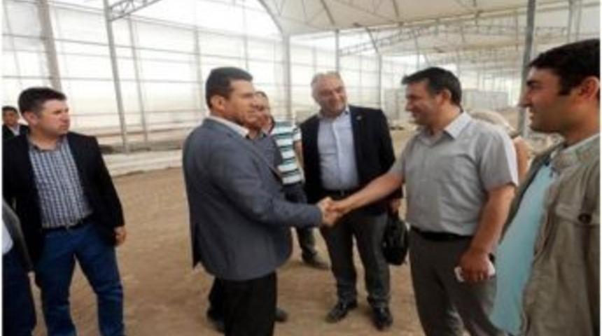 Van&rsquo;da Jeotermal Isıtmalı Seralar Giderek Artıyor