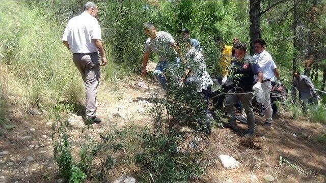 Ormanlık Alanda Ağaca Asılı Ceset Bulundu 1
