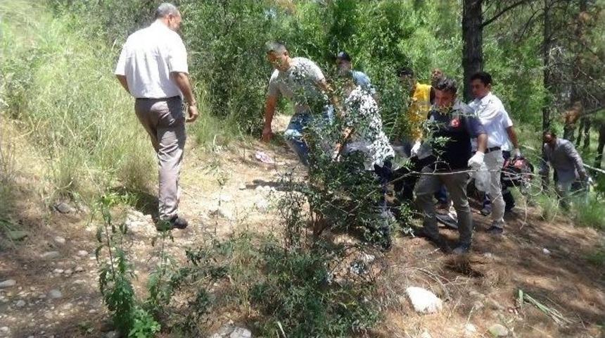 Ormanlık Alanda Ağaca Asılı Ceset Bulundu