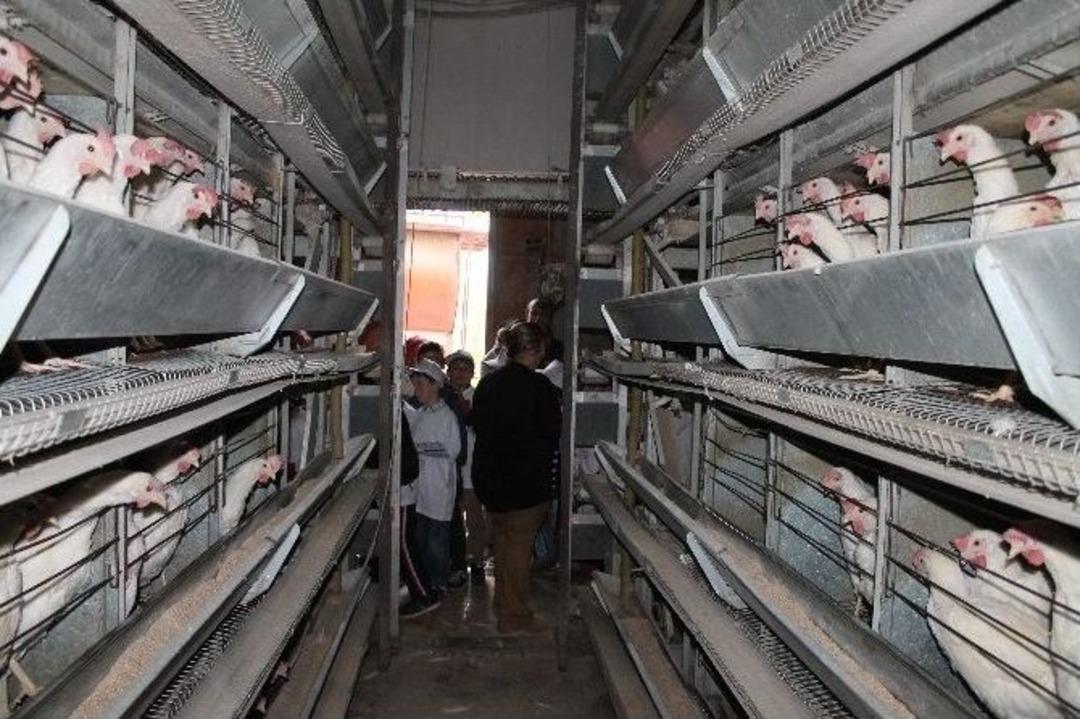 Bayburt&rsquo;ta &rsquo;lider &Ccedil;ocuk Tarım Kampı&rsquo; Sona Erdi