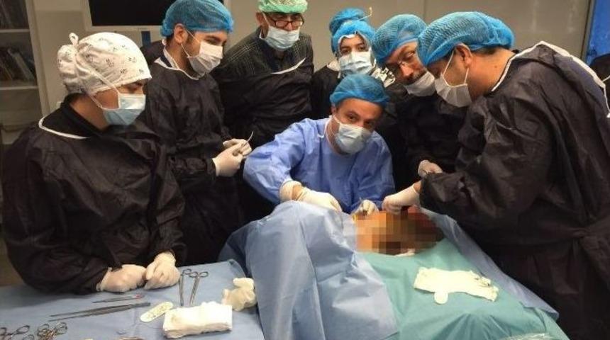 &Ouml;zel Kadavrada Video Cerrahi Kursu