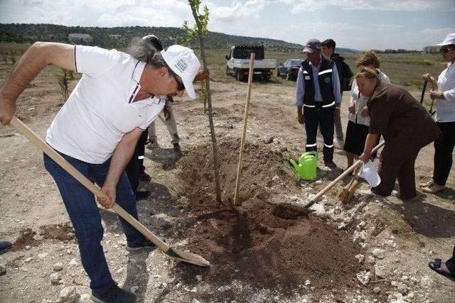 Hüseyin Mor’un Adı Hatıra Ormanı’nda Yaşayacak