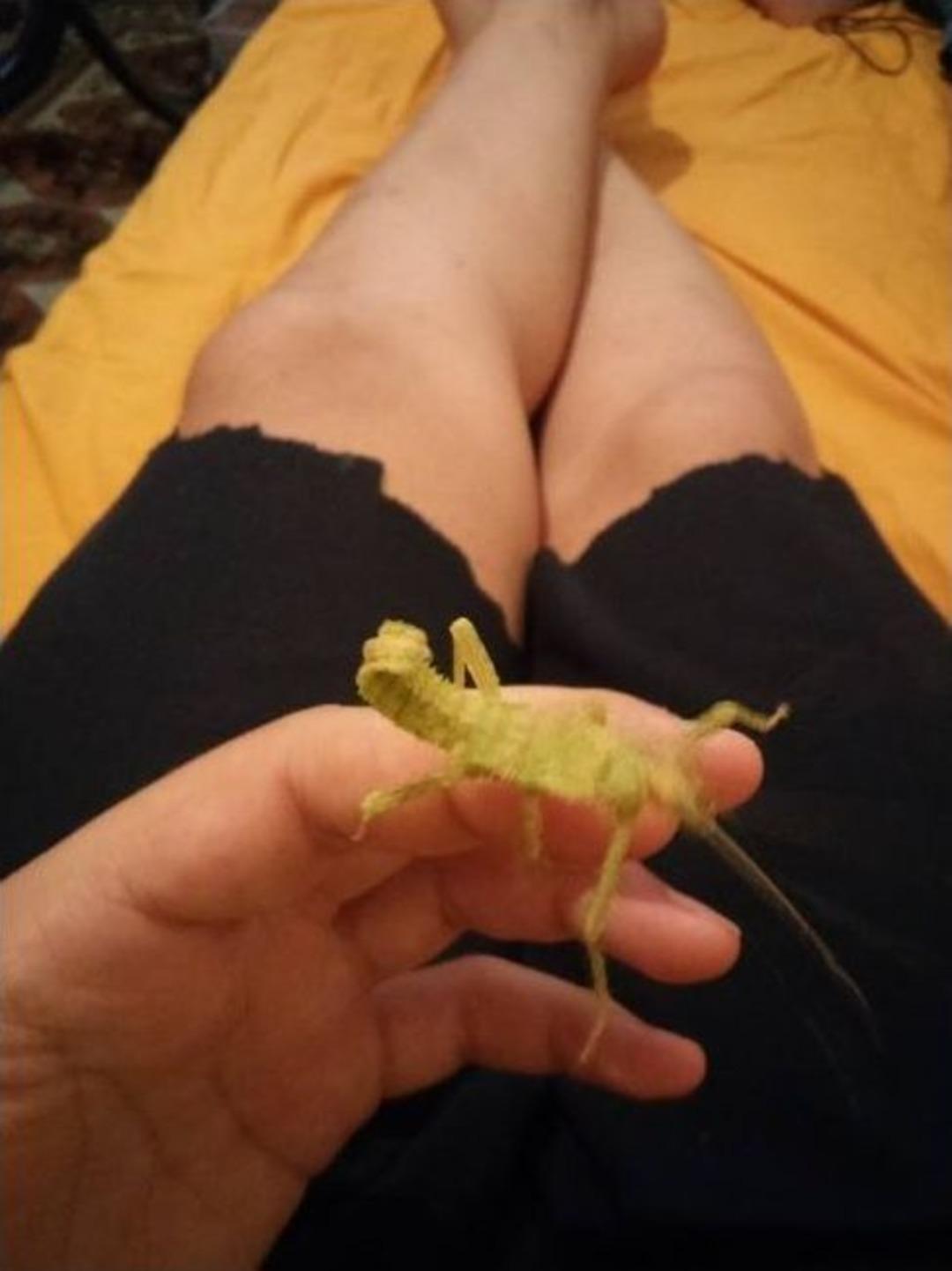 (&ouml;zel Haber) Kimsenin Dokunamadığı Hayvanları Eliyle Besliyor