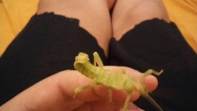 (özel Haber) Kimsenin Dokunamadığı Hayvanları Eliyle Besliyor