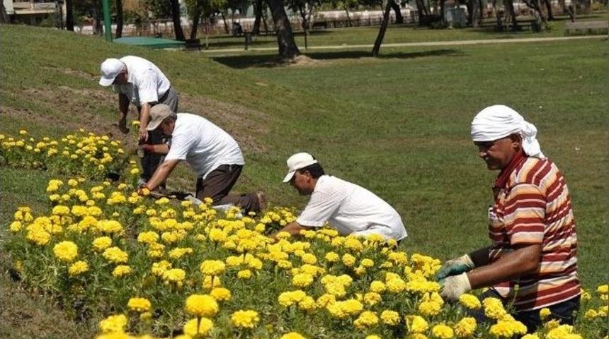 Mevsimlik &Ccedil;i&ccedil;ek Ekim &Ccedil;alışmaları Devam Ediyor