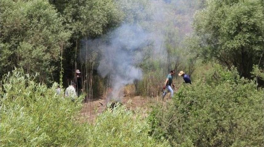 Hevsel Bah&ccedil;eleri&rsquo;nde 50 Bin K&ouml;k Hint Keneviri Ele Ge&ccedil;irildi