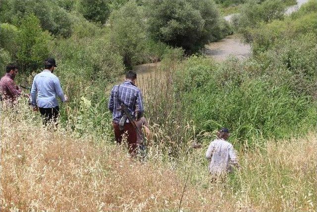 Hevsel Bahçeleri’nde 50 Bin Kök Hint Keneviri Ele Geçirildi