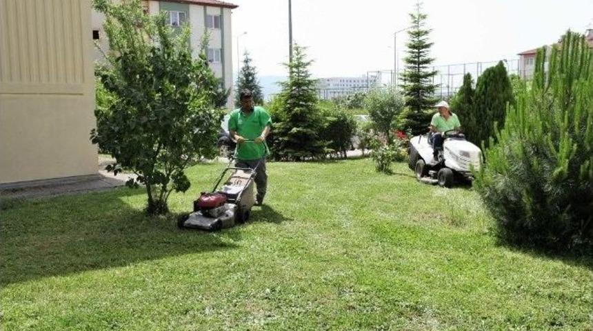 Başiskelede Park Bakım Ve Revize &Ccedil;alışmaları Devam Ediyor