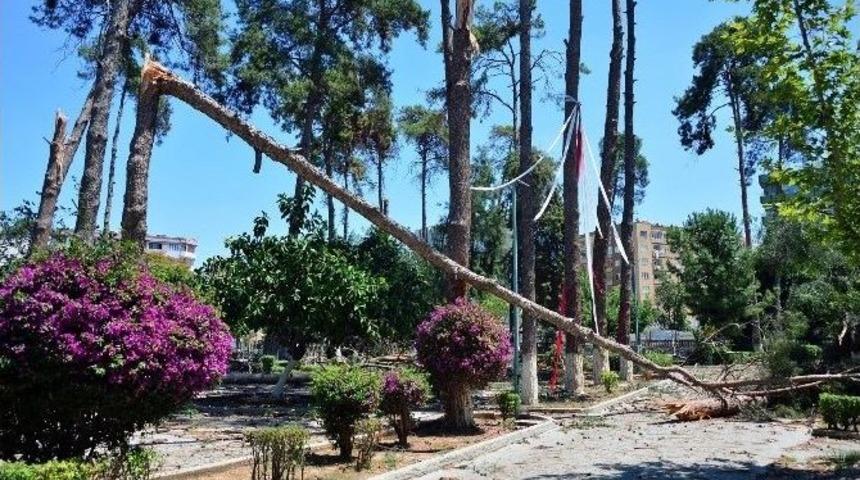 Tarsus K&uuml;lt&uuml;r Parkı&rsquo;nda Facianın Eşiğinden D&ouml;n&uuml;ld&uuml;