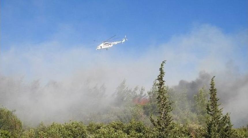 Urla&rsquo;daki Yangına Karadan Ve Havadan M&uuml;dahale Ediliyor