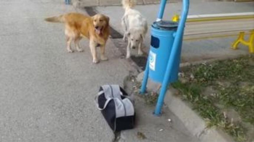 Otogarda Unutulan Valiz Vatandaşı Korkuttu