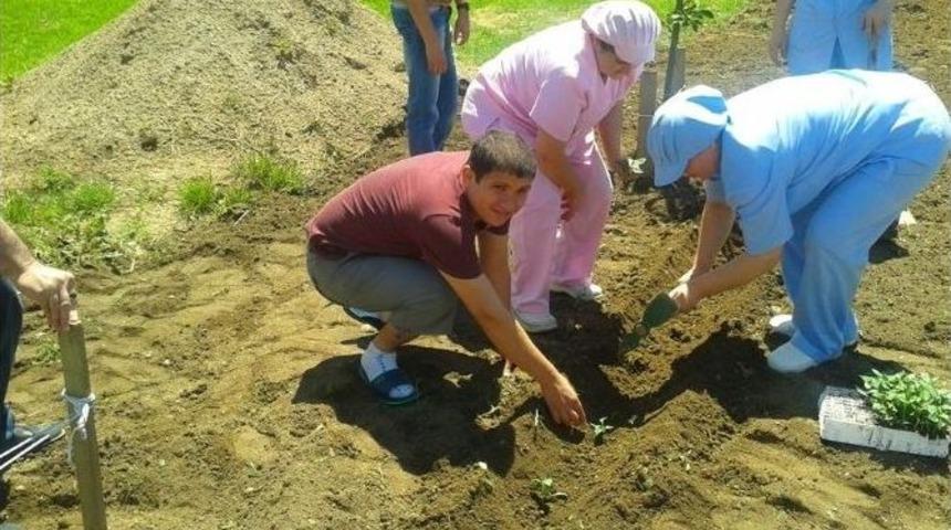 &ldquo;benim De Dikili Bir Ağacım, Bir G&uuml;l&uuml;m Var&rdquo; Projesi