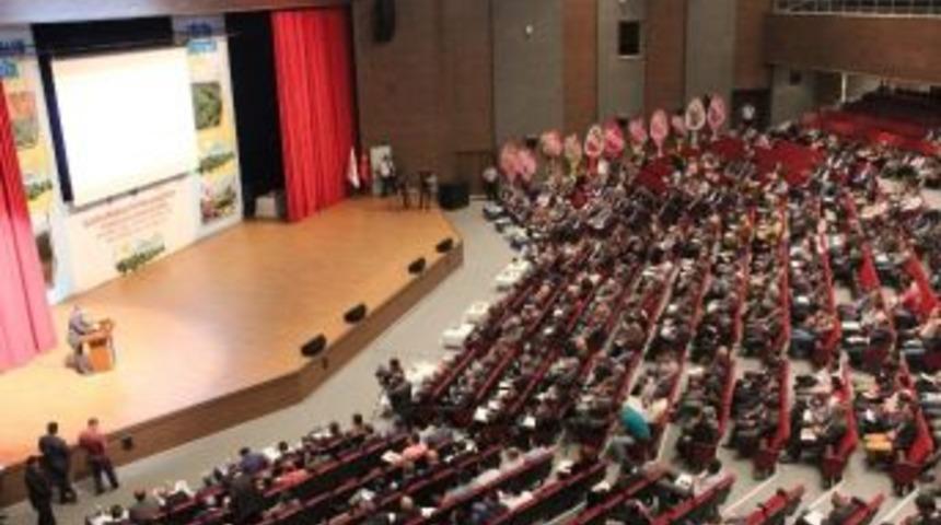 Uluslararası T&uuml;t&uuml;n &Ccedil;alıştayı Sonu&ccedil; Bildirgesi Yayınlandı