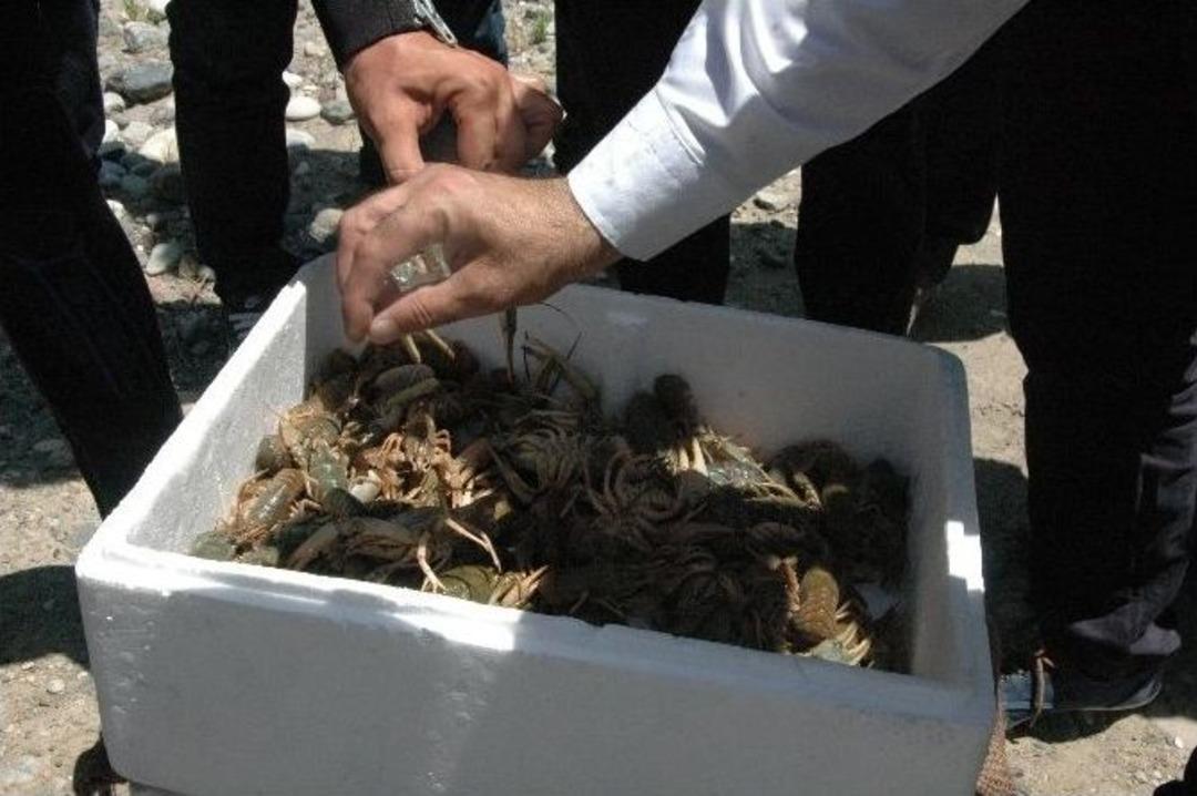 T&uuml;rkiye&rsquo;de Bir İlk Ger&ccedil;ekleştirildi