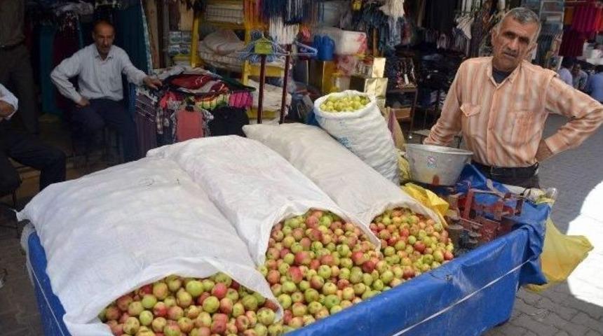 Pervari Elması Piyasaya &Ccedil;ıktı