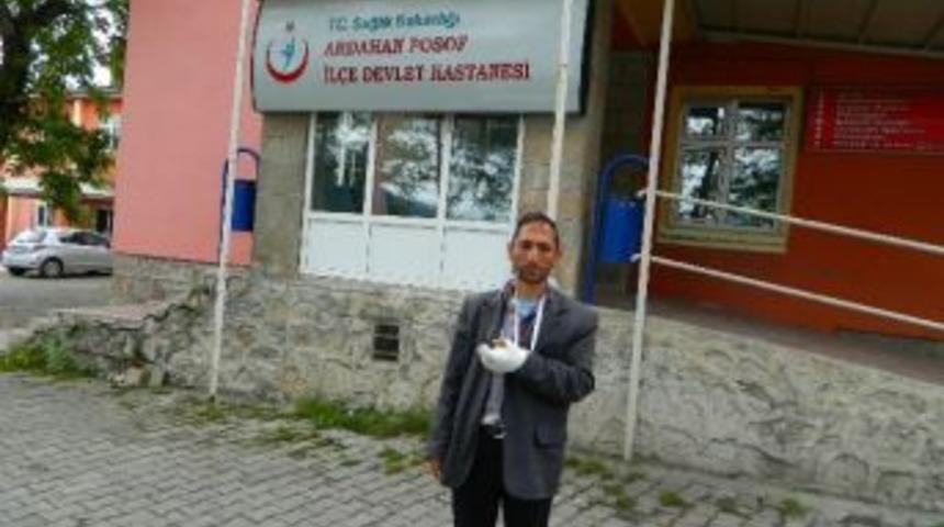 &Ccedil;oban Kurt Saldırısına Uğradı