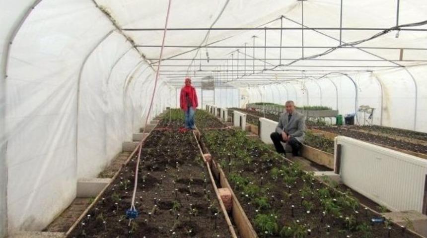 Bakan Eroğlu: &ldquo;kastamonu Ve Sinop&rsquo;ta 30 Bin Adet Fidan Dikilecek&rdquo;