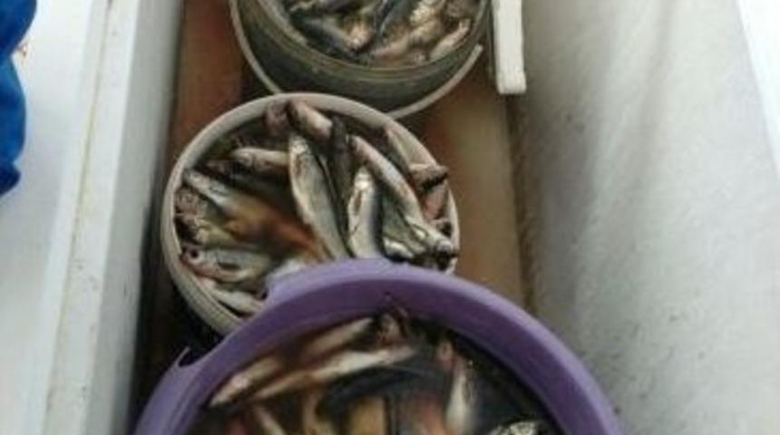 Van&rsquo;da Ka&ccedil;ak Balık Denetimleri