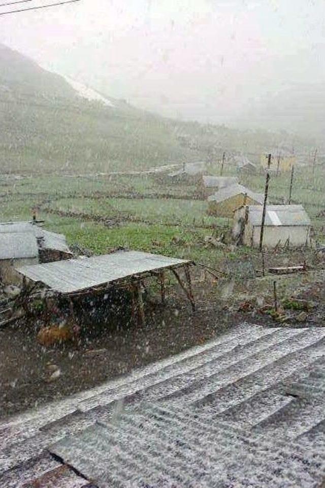 Gümüşhane’nin Yüksek Kesimlerine Haziran Ayında Kar Yağdı