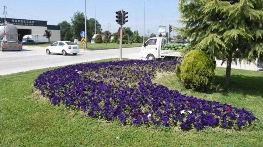 Yeşil D&uuml;zce &Ccedil;i&ccedil;eklerle G&uuml;zelleşiyor