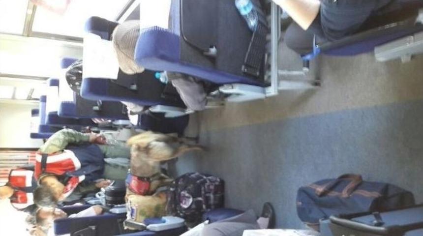 Yolcu Trenlerinde K&ouml;pekle Bomba Ve Uyuşturucu Denetimi