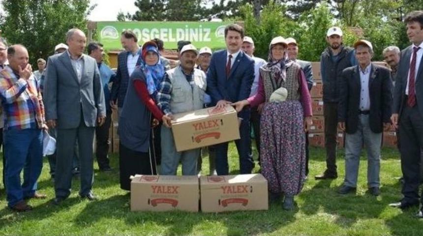 85 &Uuml;reticiye 1 Milyon 38 Bin &Ccedil;ilek Fidesi