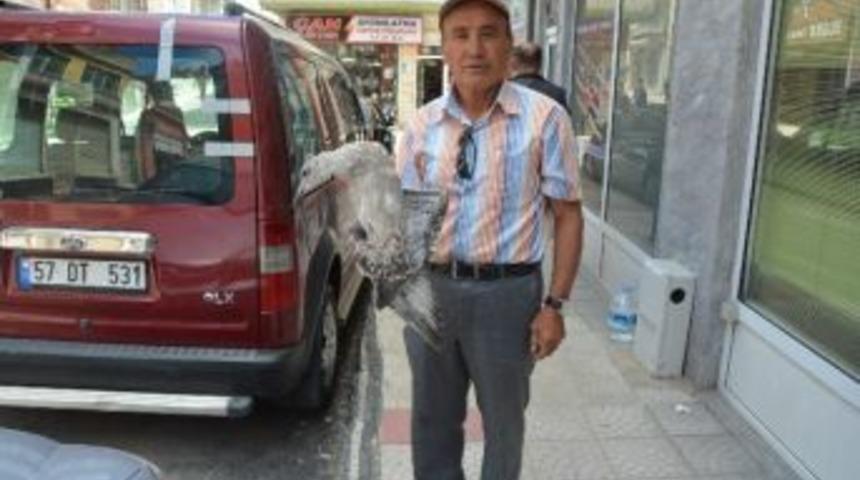 Yaralı Martıya Şefkat Eli