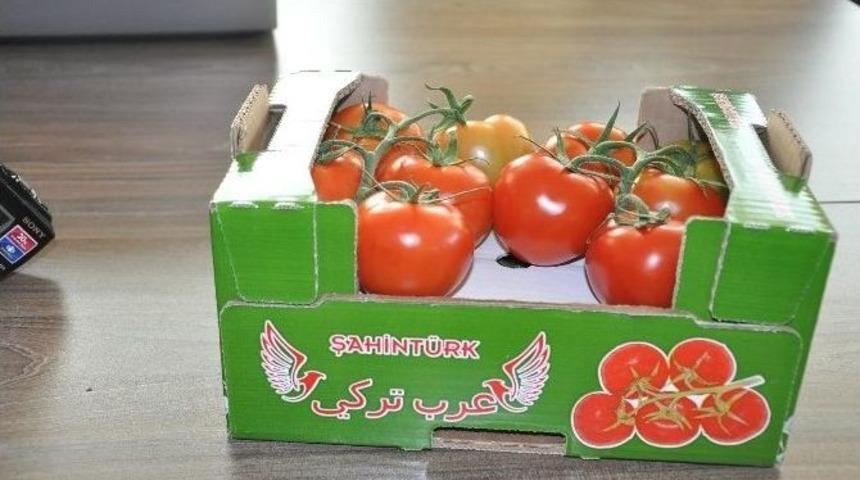 Sandıklı&rsquo;dan Suudi Arabistan&rsquo;a Domates İhracatı Yapılmaya Başladı