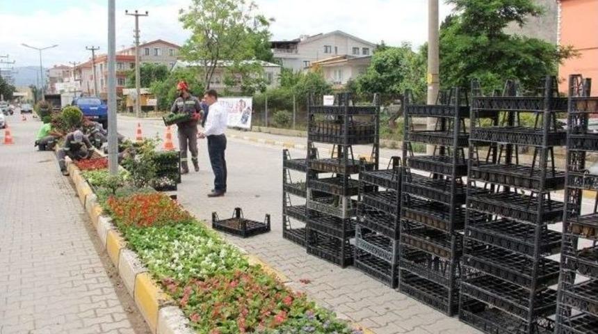 &Ccedil;iftlikk&ouml;y&rsquo;de Ramazan Ayında 270 Bin &Ccedil;i&ccedil;ek Dikilecek