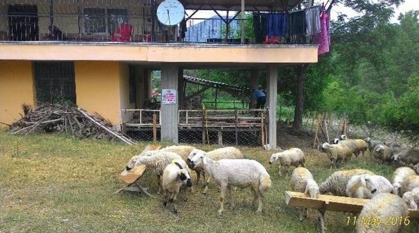 Kadirli&rsquo;de Ork&ouml;y Kredileri Sahiplerini Buluyor