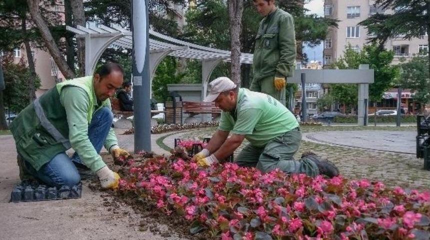 &Ccedil;orum &Ccedil;i&ccedil;eklerle Donatılıyor