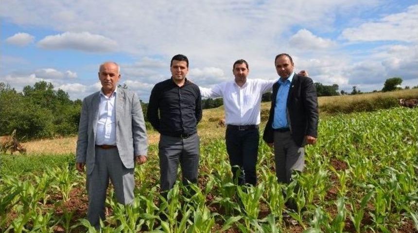 Nitrat G&uuml;brelerin Yasaklanması