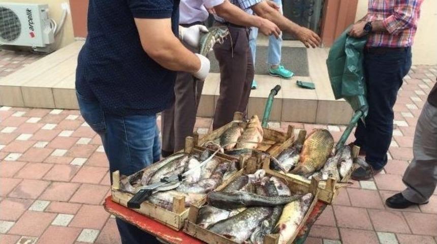 Bursa&rsquo;da Ka&ccedil;ak Balık Operasyonu