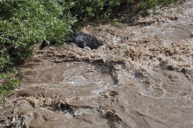 Yağmurlar Kars Çayını Taşırdı