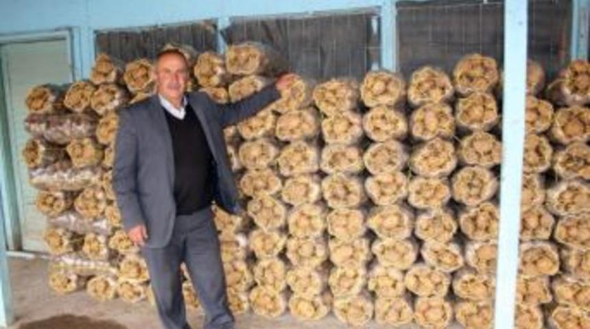 Pasinler Patatesi Erzurum&rsquo;da Sydv&rsquo;lerce Dağıtıldı