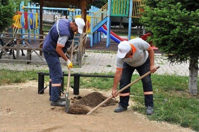 Parklarda Bakım Çalışmaları