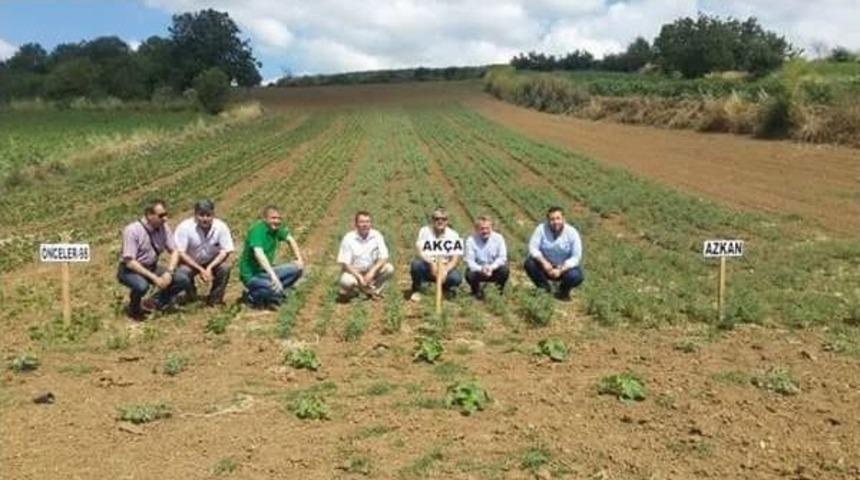 İl M&uuml;d&uuml;r&uuml; Sarıkoca Demonstrasyon Alanları Yerinde İnceledi
