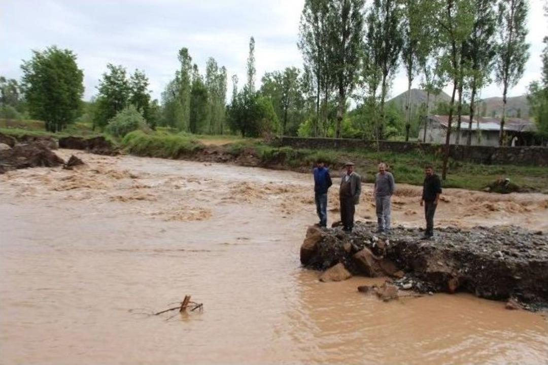 Oltu &Ccedil;ayı Taştı