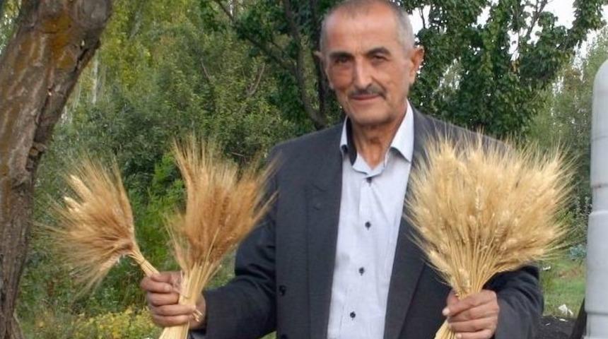 5 Bin Yıllık Yerli Tohumu Kendi &Uuml;retti