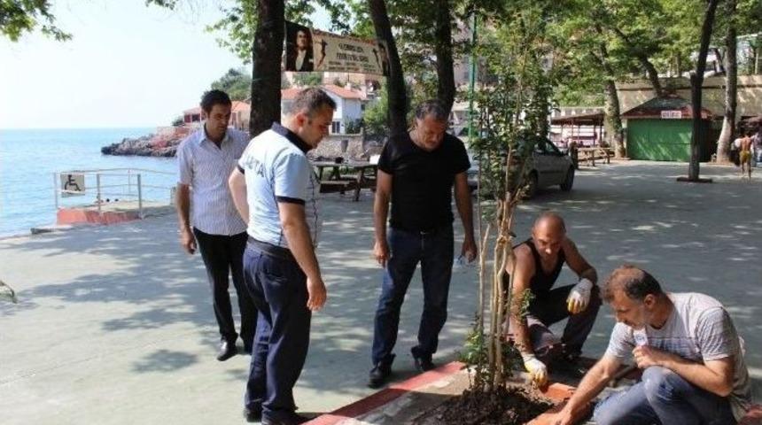 Kapuz Plajında Hazırlıklar Tamamlandı