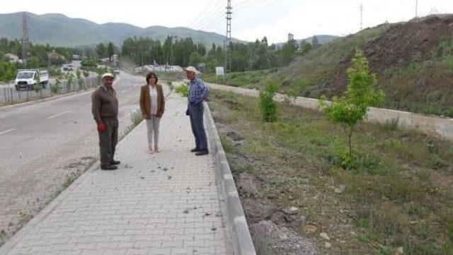 Varto Belediyesi Peyzaj Çalışması Başlattı