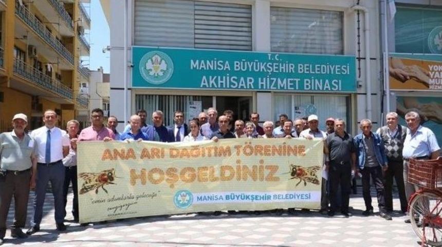 Akhisarlı Arıcılara 150 Ana Arı Dağıtıldı