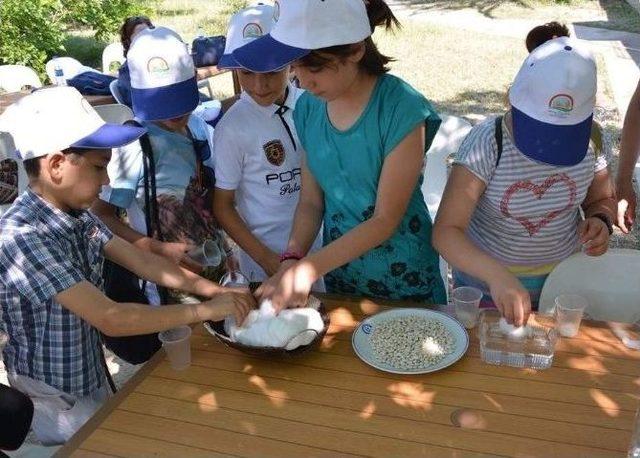 Aydın’da Lider Çocuk Tarım Kampı Sona Erdi