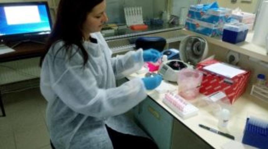 Domates Halkalı Leke Vir&uuml;s&uuml; Araştırılması T&uuml;bitak Projesi Sonu&ccedil;landı