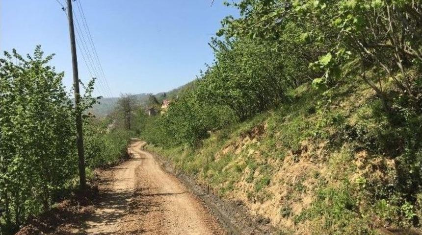 D&uuml;zce&rsquo;de K&ouml;y Yolları Elden Ge&ccedil;iyor