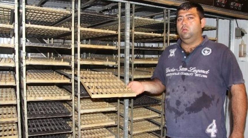 T&uuml;rkiye&rsquo;nin Tek Bıldırcın &Uuml;retim &Ccedil;iftliğine Ter&ouml;r Darbesi