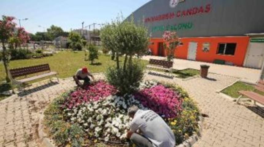 Karşıyaka 300 Bin Çiçekle Süsleniyor