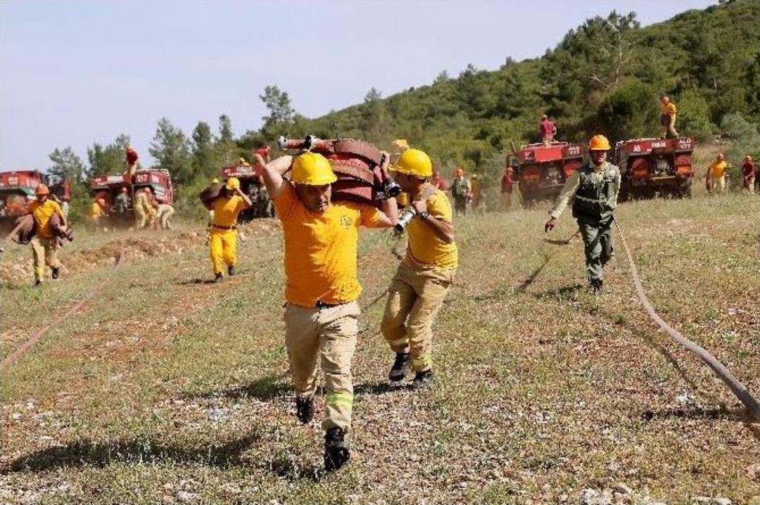 Alev Savaş&ccedil;ıları Hazır